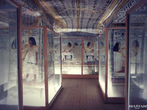 découverte approfondie de la Rive Ouest de Louxor : excursion 1 journée : Vallée des Nobles - tombe Senefer