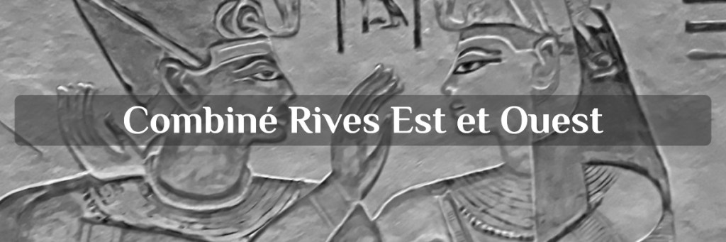 mise à disposition de voiture avec chauffeur: excursion combiné rive est et ouest de Louxor