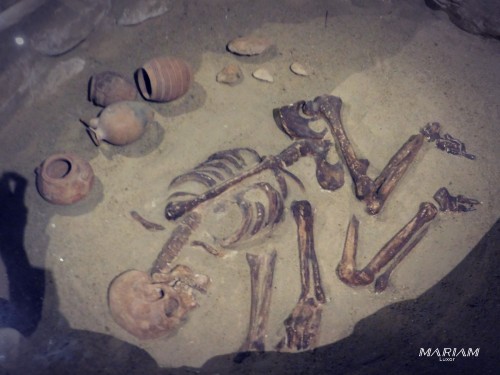 mise à disposition de voiture avec chauffeur pour excursions à Assouan : musée nubien