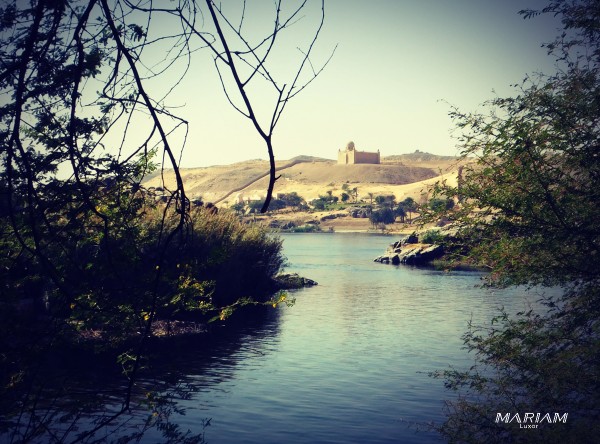 excursion balade en bateau sur le Nil à Assouan : visite de l'île botanique - île Kitchener