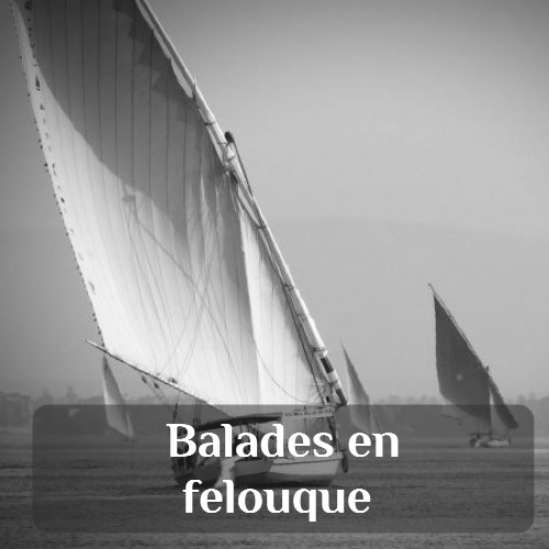 excursions à Louxor : balades en felouque sur le Nil au coucher du soleil