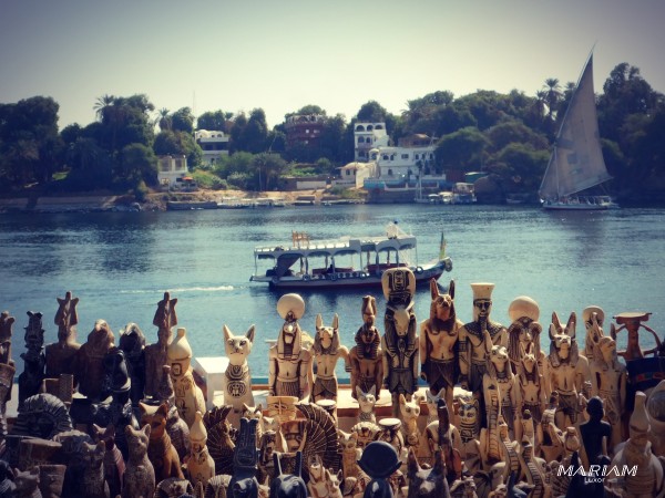 excursion balade en bateau sur le Nil à Assouan : visite de l'île botanique