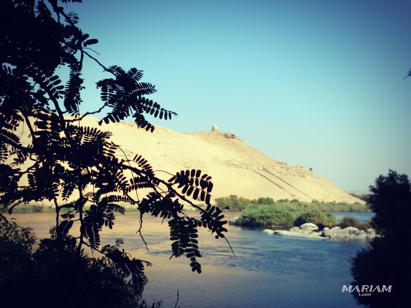 excursion balade en bateau sur le Nil à Assouan : visite de l'île botanique - kitchener
