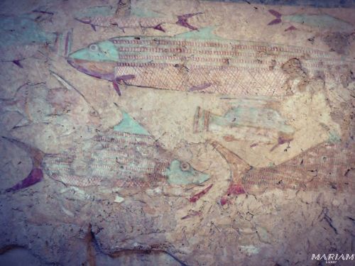 excursions hors de sentiers battus : nécropole du Moalla