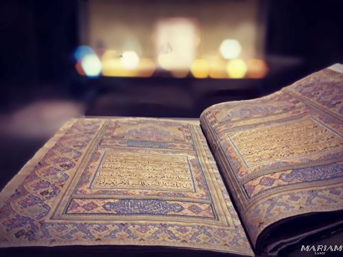 excursions hors de sentiers battus : musée de Sohag