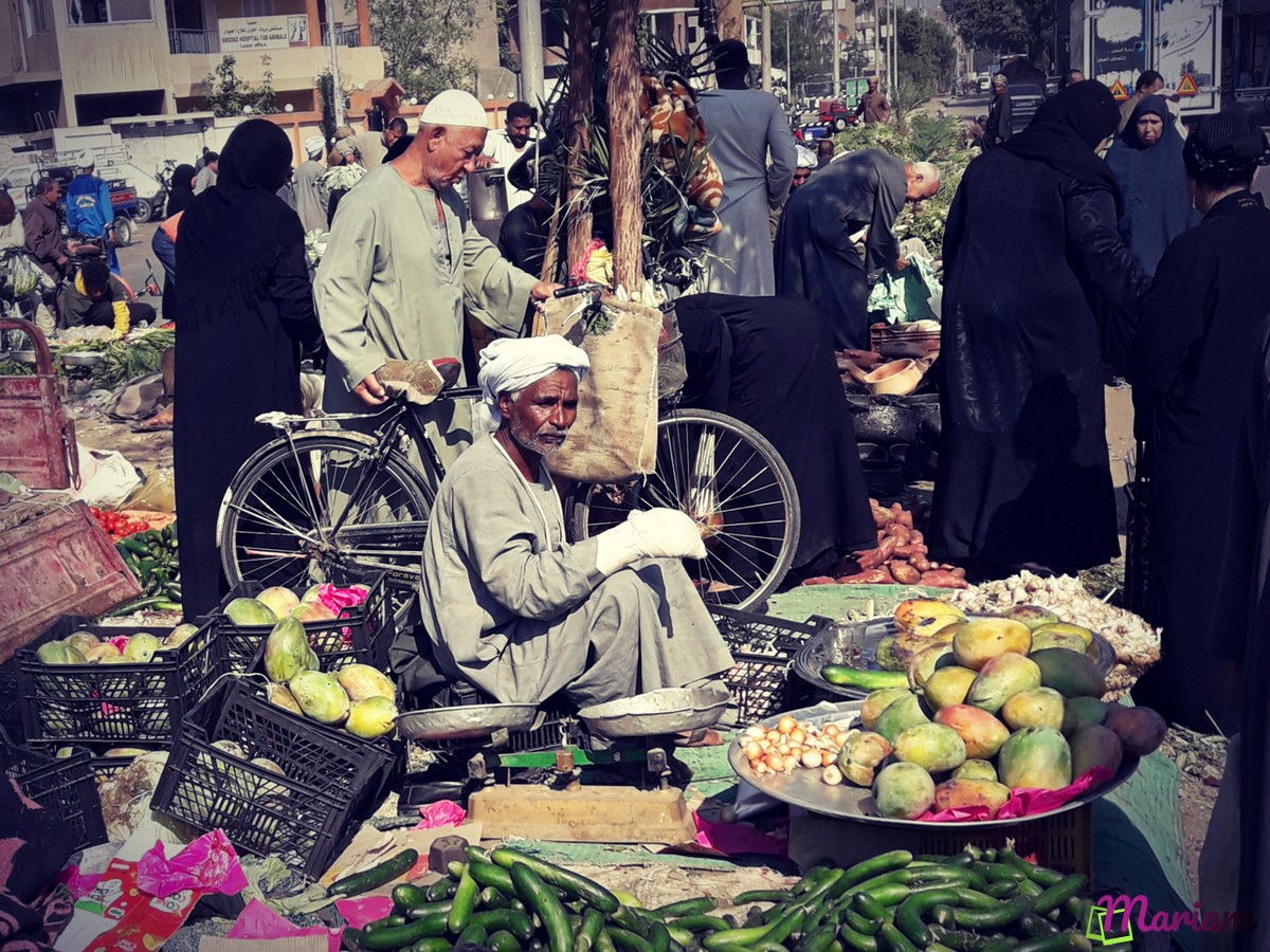 Balades et randonnées à Louxor : découverte de la vie locale et des marchés locaux