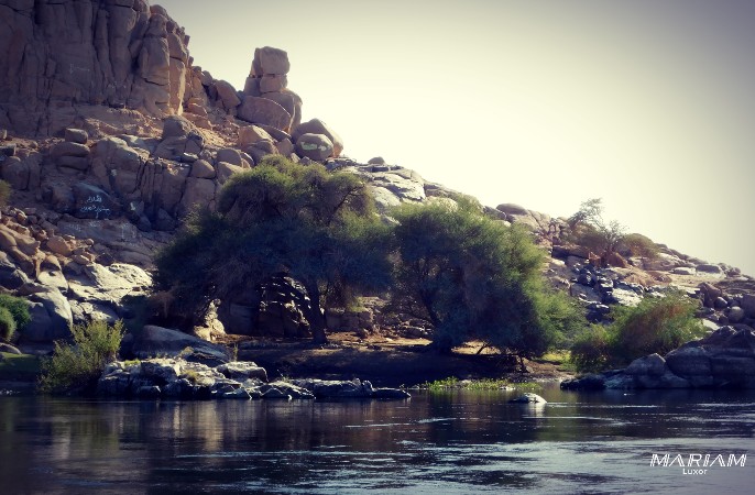 mini-croisière sur le Nil à Assouan à la découverte des îles et des sites 
