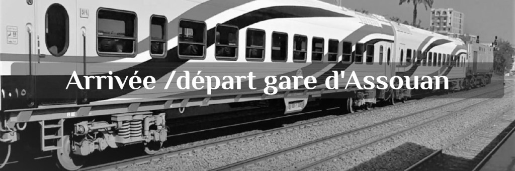 transfert et navettes gare d'Assouan Egypte