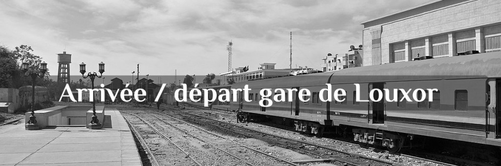 transfert privé à Louxor : arrivée ou départ gare de Louxor, Egypte