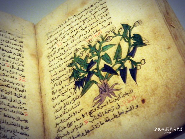 journée d'excursion découverte le Caire islamique sur mesure : musée art islamique