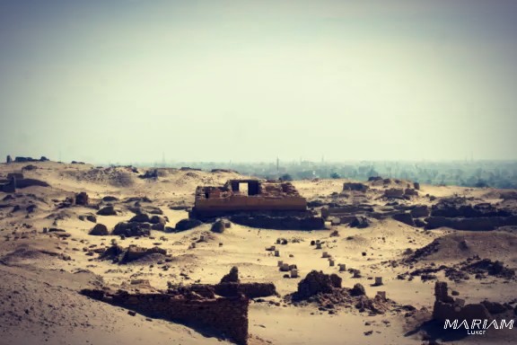 excursion d'une journée à l'oasis du fayoum depuis le Caire- tarif chauffeur