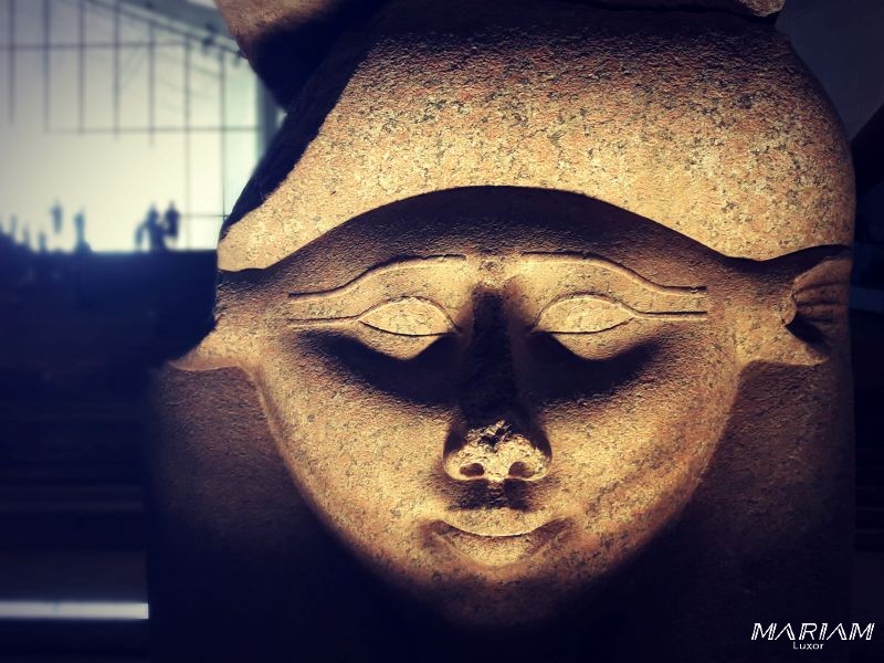 forfaits dégressifs : excursion guidée découverte du Caire : GEM et pyramides de Guizeh