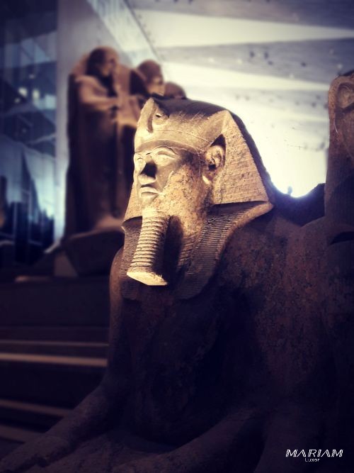 forfaits dégressifs : excursion guidée découverte du Caire : Pyramides, sphinx et GEM