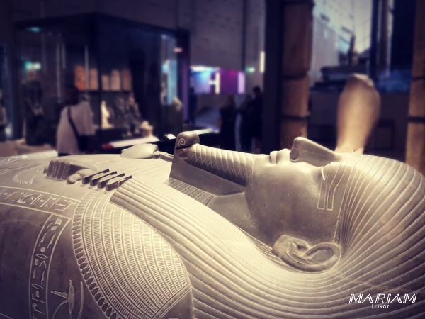 forfaits dégressifs : excursion guidée découverte du Caire : Pyramides et GEM