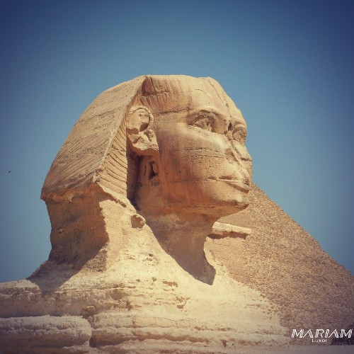 forfaits dégressifs : excursion guidée découverte du Caire : Pyramides de Guizeh et Grand Musée