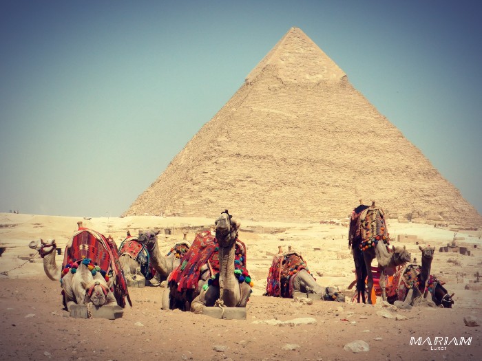 forfaits dégressifs : excursion guidée découverte du Caire : Pyramides et Grand Musée