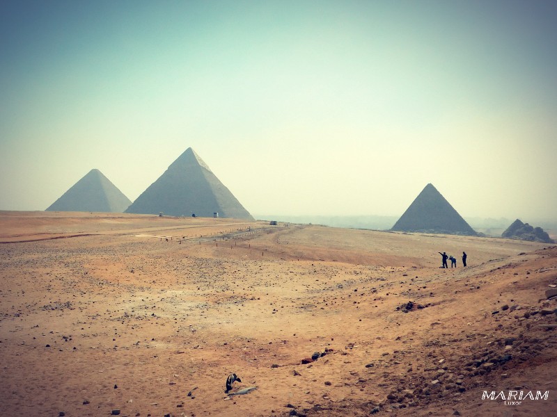 forfaits dégressifs : excursion guidée découverte du Caire : Pyramides, sphinx et Grand Musée