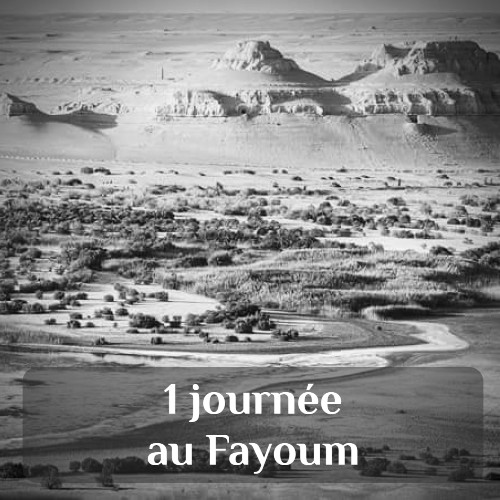 forfait chauffeur au Caire - excursion d'une journée au Fayoum