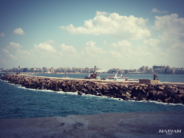 mise à disposition de chauffeur pour une journée d'excursion à Alexandrie depuis le Caire : tarifs dégressifs pour groupes
