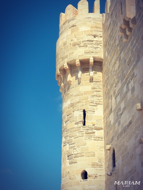 mise à disposition de chauffeur pour une journée d'excursion à Alexandrie depuis le Caire - tarifs dégressifs