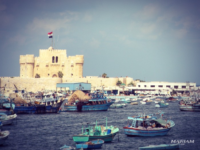 mise à disposition de chauffeur pour une journée de visites libres à Alexandrie depuis le Caire