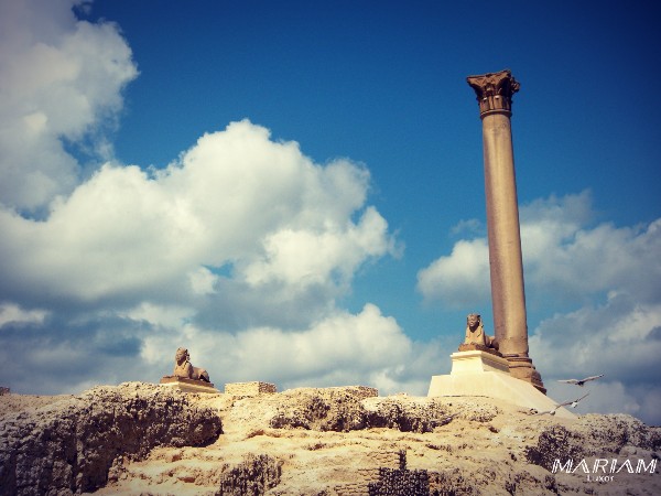 tarifs : mise à disposition de chauffeur pour une journée d'excursion à Alexandrie depuis le Caire