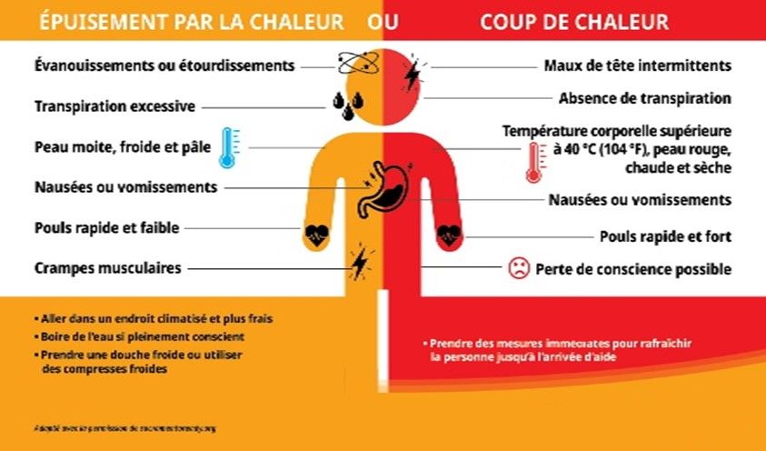 voyage en égypte : se protéger de la chaleur