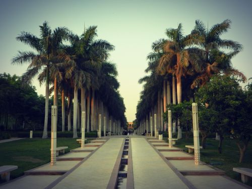 conseils et astuces pour faire face à la chaleur lors d'un voyage en Egypte