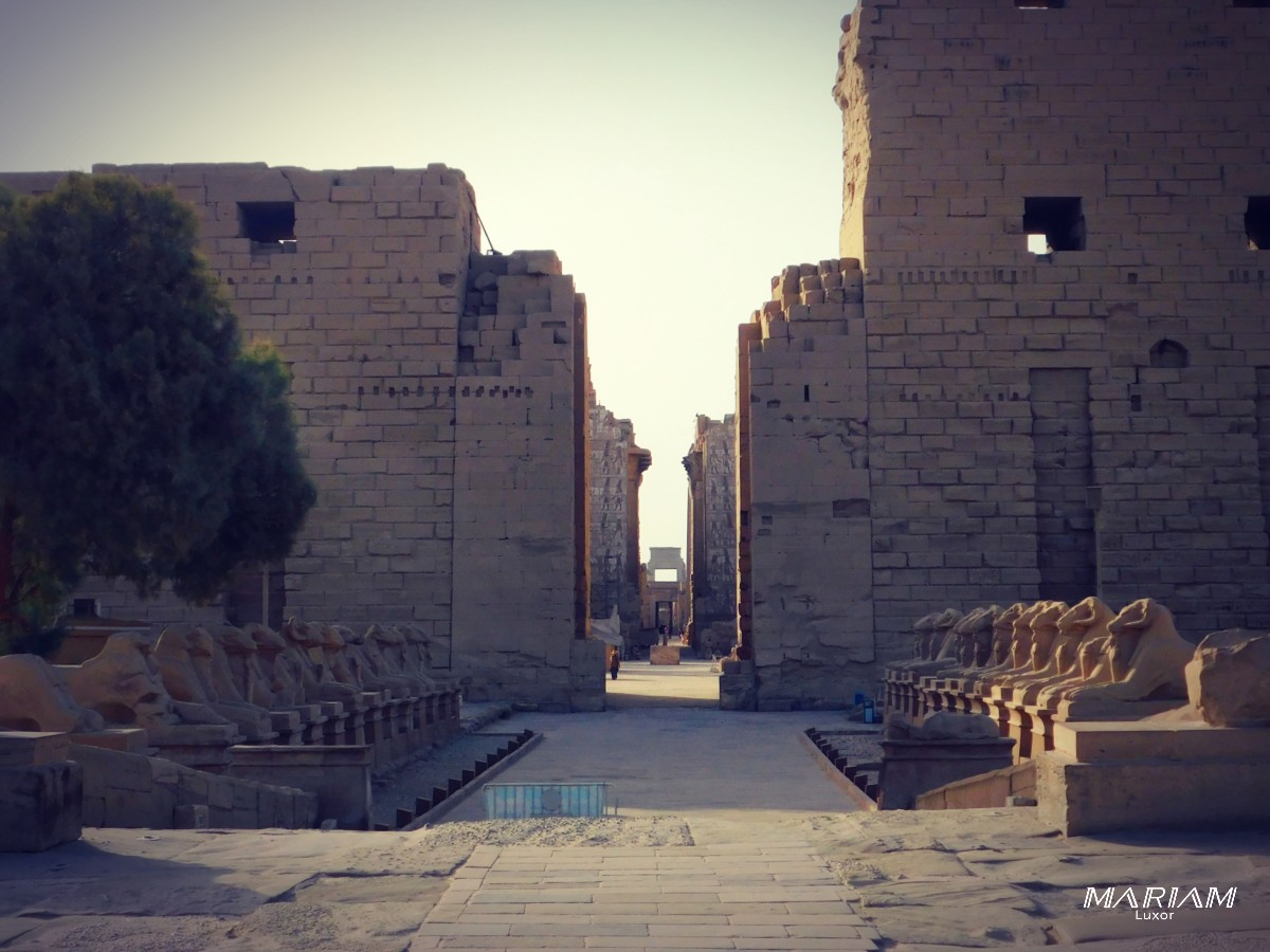 visiter l'Egypte en été : guide pratique de survie