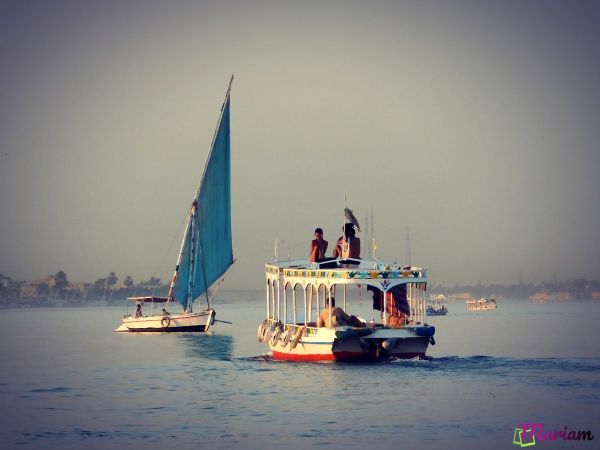 activités pour les enfants et familles à Louxor : felouque sur la Nil