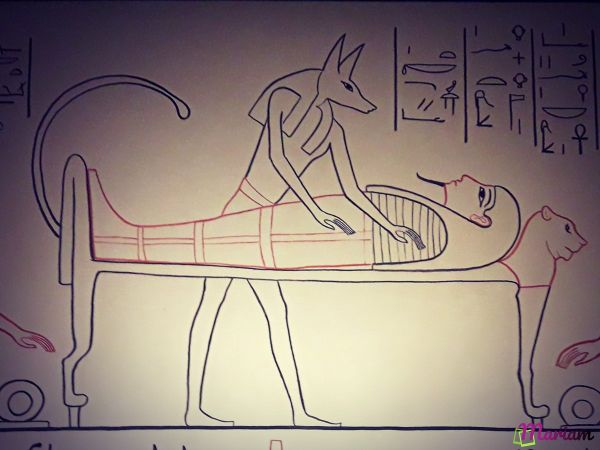 activités pour les enfants et familles à Louxor : musée de la momification