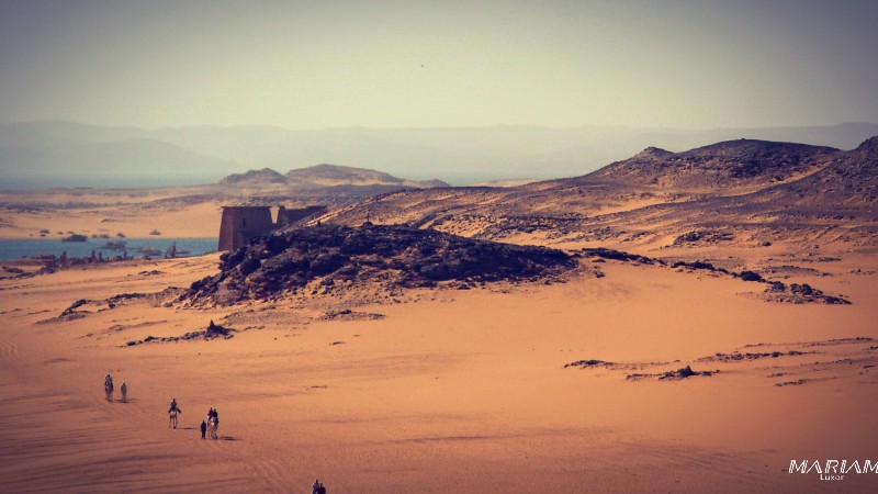 "Découverte du temple de Wadi el-Seboua, joyau préservé accessible uniquement par croisière sur le lac Nasser. Admirez ce site archéologique majestueux se détachant sur l'immensité désertique et les eaux calmes du lac
