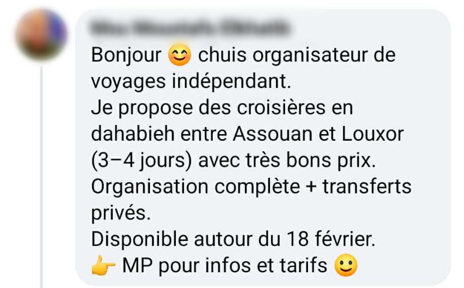 Message d'une personne privée dans un groupe, se déclarant "organisateur de voyage" et redirigeant vers la messagerie sans aucune information professionnelle.
