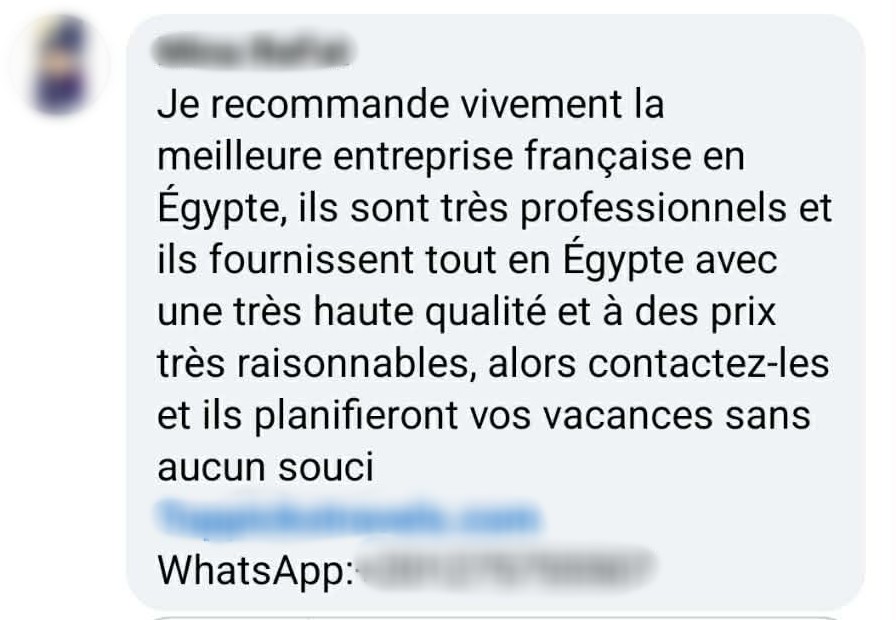 Faux commentaire recommandant "la meilleure entreprise française en Égypte" avec un numéro WhatsApp, typique des campagnes d'astroturfing.