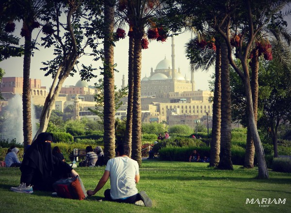 Vue Citadelle de Saladin et mosquée Mohamed Ali depuis parc Al-Azhar Caire Égypte musulmane