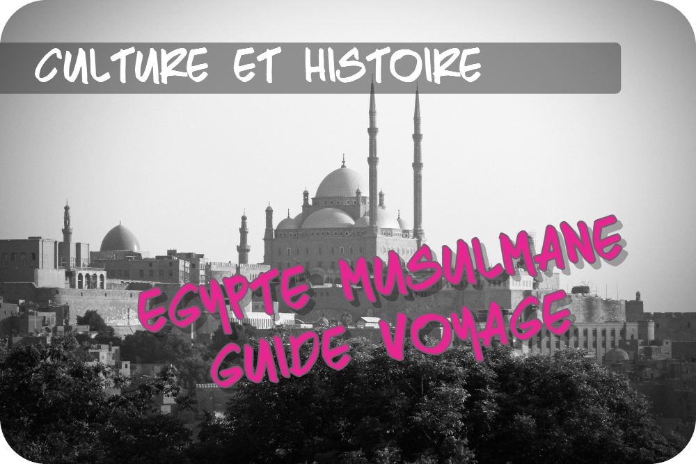 Guide Voyage de l&rsquo;Égypte musulmane: histoire, foi et traditions