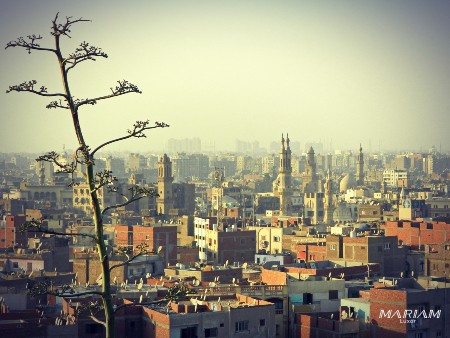 Minarets du Caire vue depuis le parc Al-Azhar panorama Égypte
