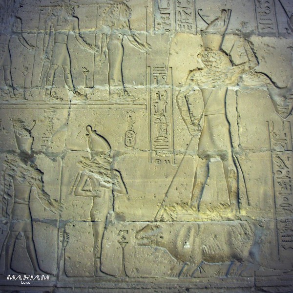 Relief ptolémaïque du temple d'Edfou représentant Horus harponnant Seth métamorphosé en hippopotame, scène du combat mythologique pour la légitimité du trône d'Égypte.