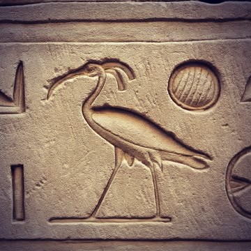 Hiéroglyphe égyptien de l'Akh représentant un ibis chauve (Geronticus eremita), tête rouge déplumée, long bec recourbé et petite crête de plumes à l'arrière du crâne. Ce signe hiéroglyphique note la notion d'esprit transfiguré et de splendeur