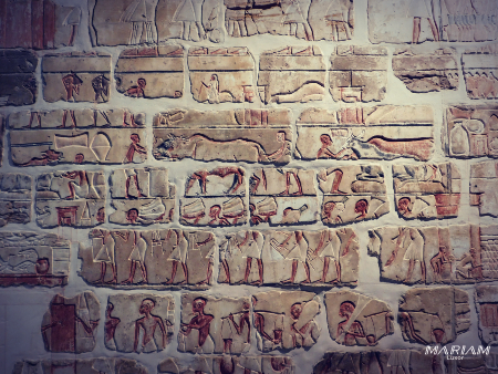Paroi de talatates du temple d'Aton à Karnak, exposée au Musée de Louxor, représentant des scènes de stockage, des animaux de trait et des travailleurs s'affairant dans les entrepôts du temple. Les reliefs polychromes illustrent le naturel de l'art amarnien.