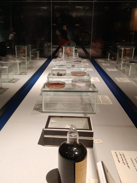 vitrine du musée de la momification de Louxor présentant différentes substances et différents produits utilisés dans le processus de momification.