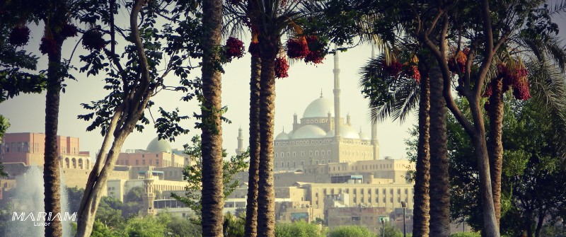 Découverte du Vieux Caire copte et islamique, excursion au cœur des quartiers historiques du Caire