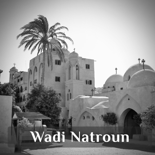 Excursion d'une demi-journée à Wadi Natroun avec chauffeur privé depuis Le Caire : monastères coptes du désert, Saint-Macaire, Saint-Bishoï et Deir al-Syrian