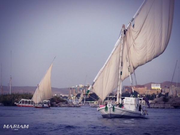 Felouque sur le Nil à Assouan au coucher du soleil, balade traditionnelle au fil de l'eau entre les îles et les rives désertiques