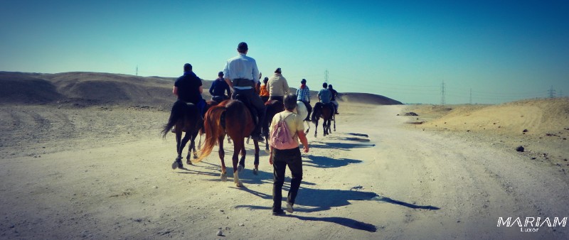 Groupe de cavaliers avançant dans le désert de Louxor, avec les montagnes en arrière-plan et la lumière du soleil levant. Une randonnée équestre immersive dans les paysages arides de la vallée du Nil, typique des balades à cheval à Louxor.