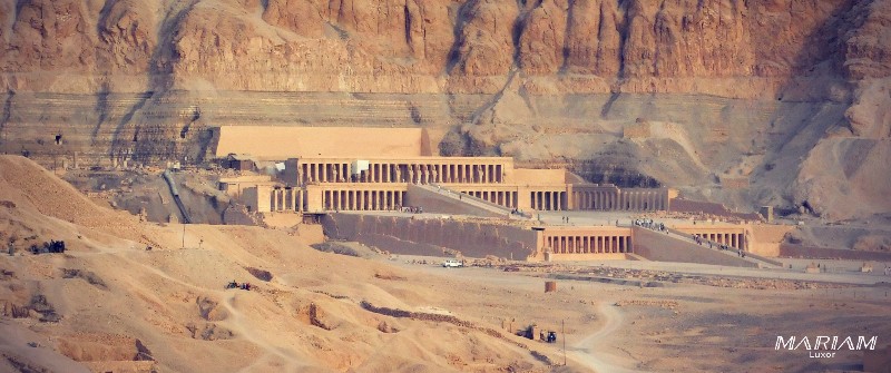 Circuit d'une demi-journée sur la Rive Ouest de Louxor : Vallée des Rois, temple d'Hatchepsout et Colosses de Memnon avec guide francophone