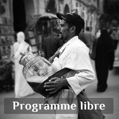 mise à disposition de véhicule avec chauffeur au Caire - programme libre : choisissez vos sites et votre rythme, à la demi-journée ou à la journée