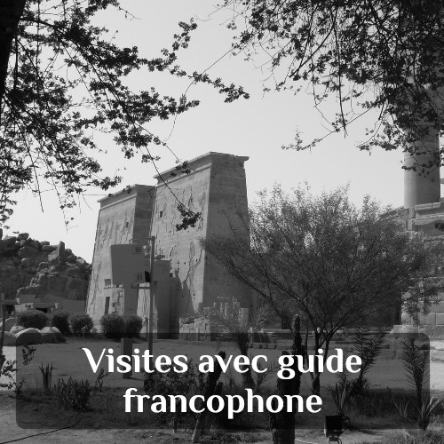 Visites guidées avec guide francophone à Assouan - Excursions privées en français